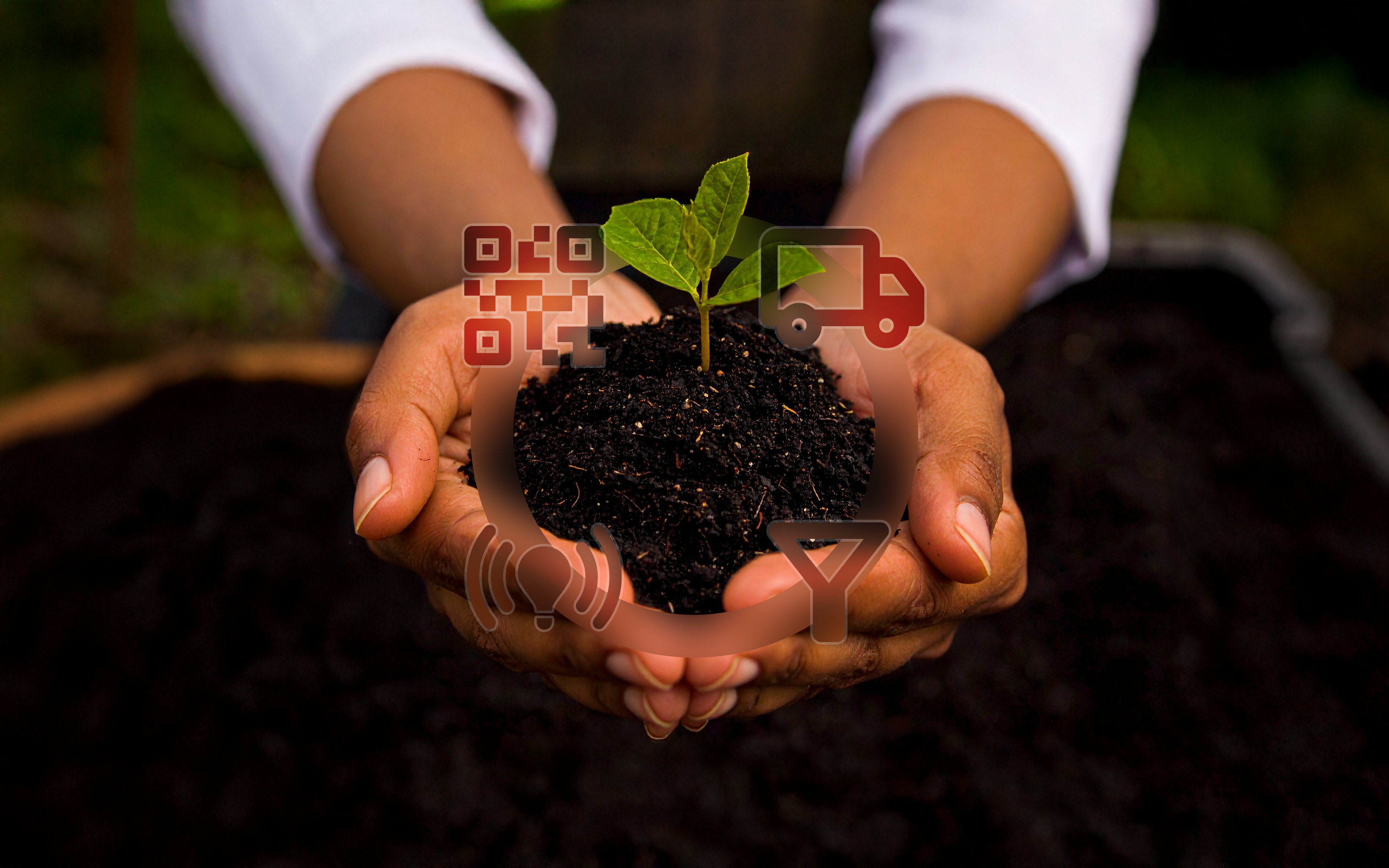 Aerial view of sustainable agricultural operations and technology integration